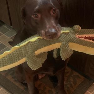 Meet your Posher, Kerri